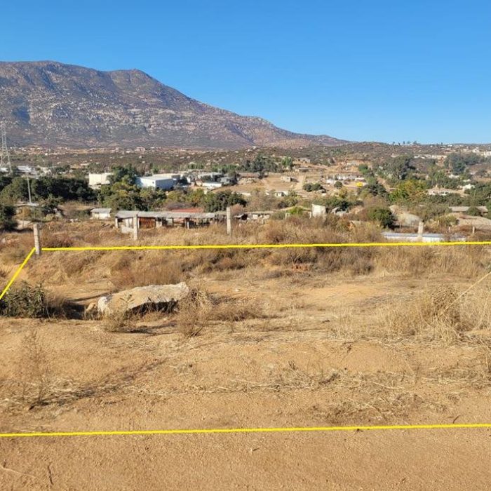 481946890_1498844984835653_491368148082505888_n