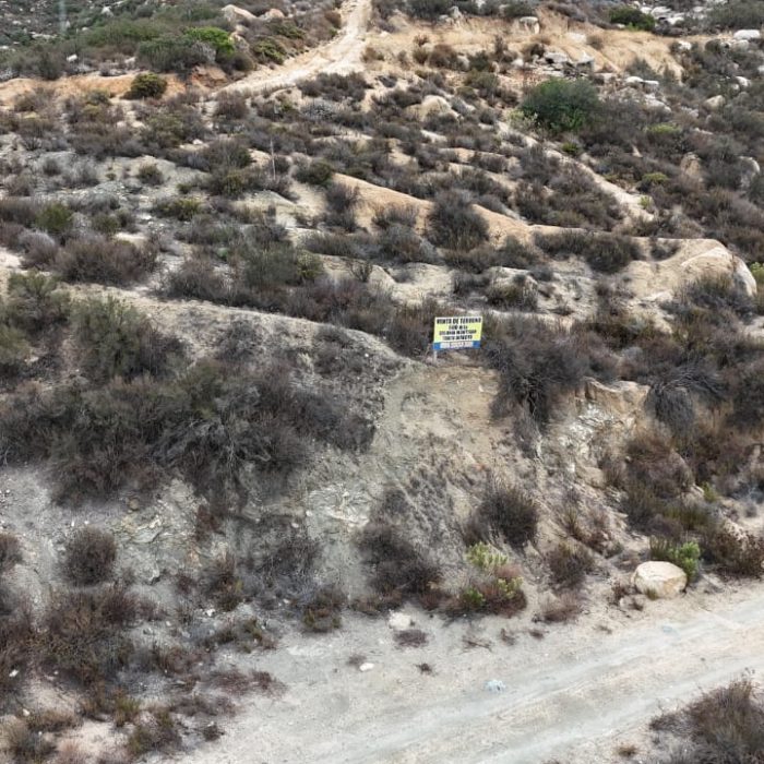 WhatsApp Image 2026-02-22 at 19.30.53 (3)